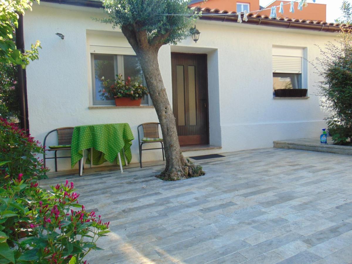 House With A Parking Space - 21994